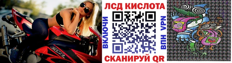 Наркотические марки 1500мкг  OMG ONION  Пудож 