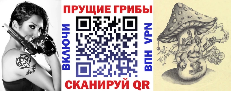 наркота  ОМГ ОМГ   Галлюциногенные грибы Psilocybine cubensis  Пудож 